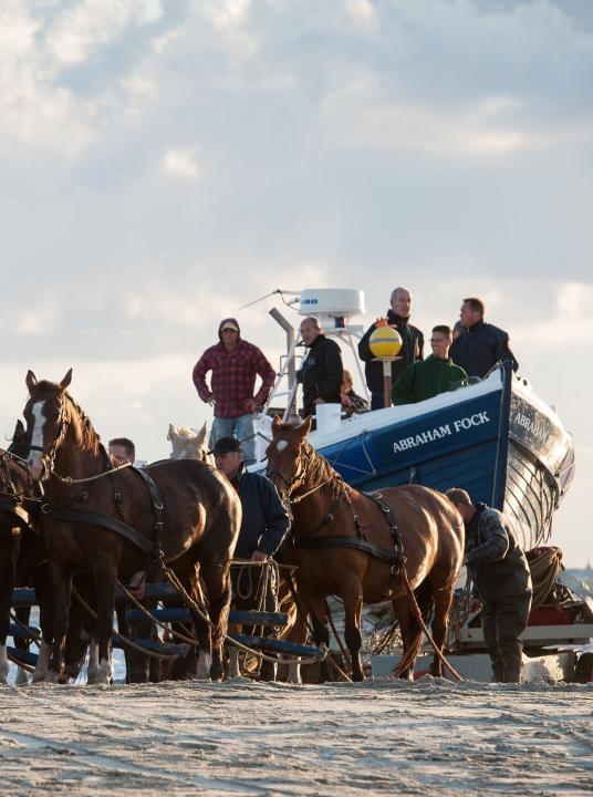 Demonstratie paardenreddingboot - VVV Ameland  - Wadden.nl