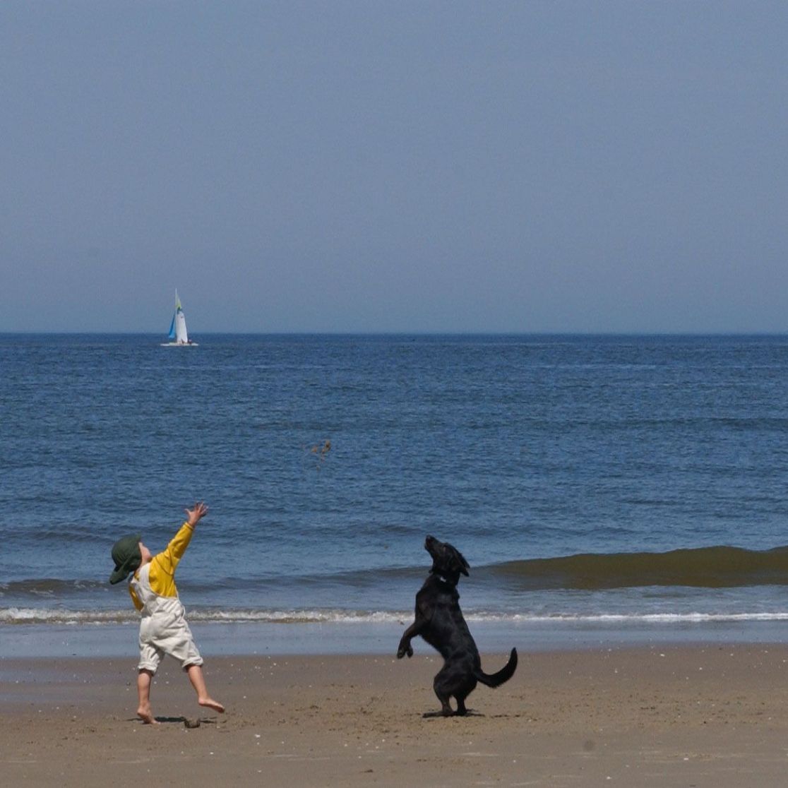 Werelderfgoed De Waddenzee