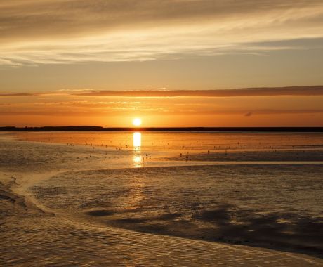 Dag van het wad - Wadden.nl - Anja Brouwer