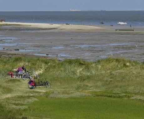dag_van_het_wad_galerij_achtergrond_texel23.jpg