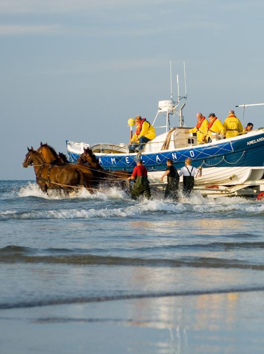 Demonstratie paardenreddingboot - VVV Ameland  - Wadden.nl