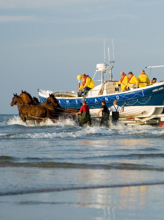 Demonstratie paardenreddingboot - VVV Ameland  - Wadden.nl