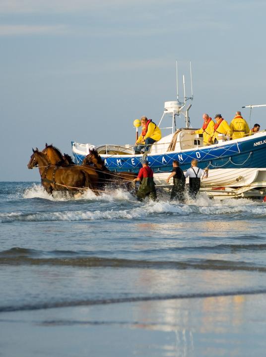 Demonstratie paardenreddingboot - VVV Ameland  - Wadden.nl