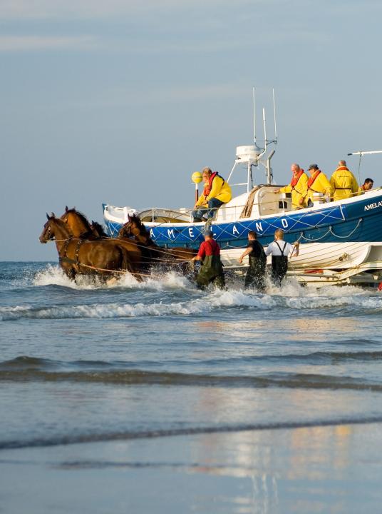 Demonstratie paardenreddingboot - VVV Ameland  - Wadden.nl