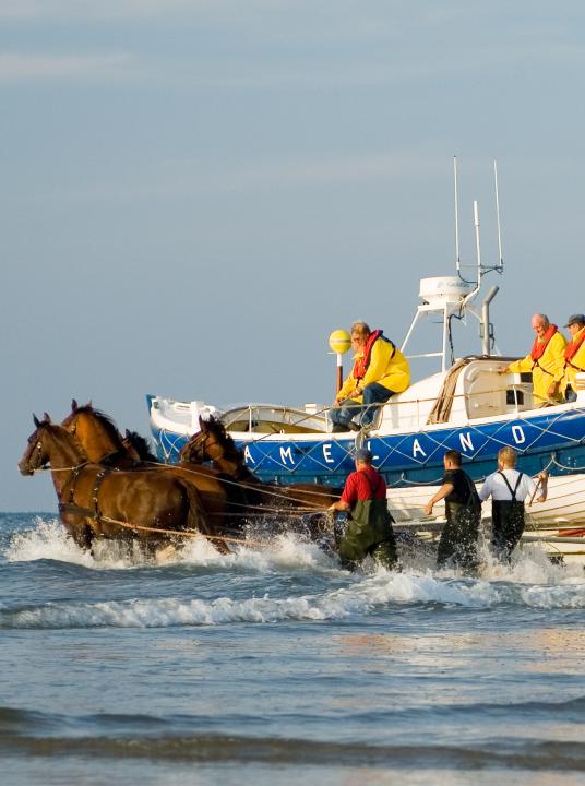 Demonstratie paardenreddingboot - Wadden.nl - VVV Ameland