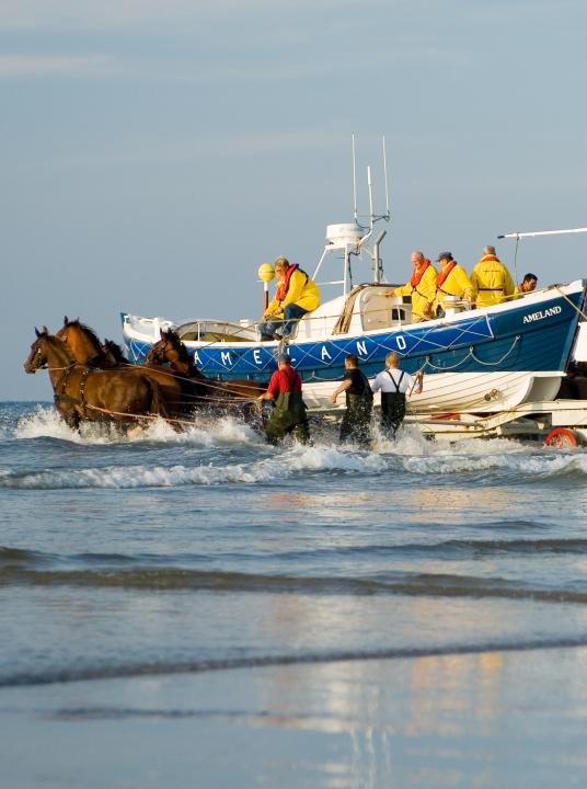 Demonstratie paardenreddingboot - Wadden.nl - VVV Ameland
