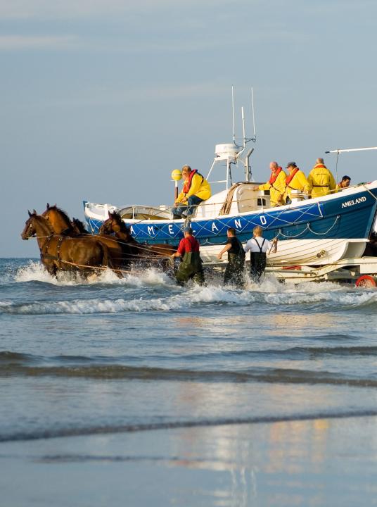 Demonstratie paardenreddingboot - VVV Ameland - Wadden.nl