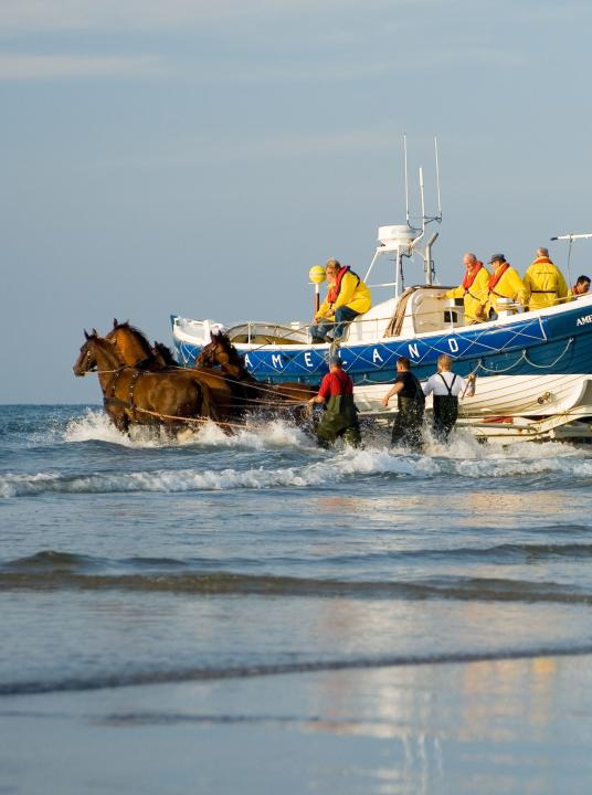 Demonstratie paardenreddingboot - VVV Ameland - Wadden.nl