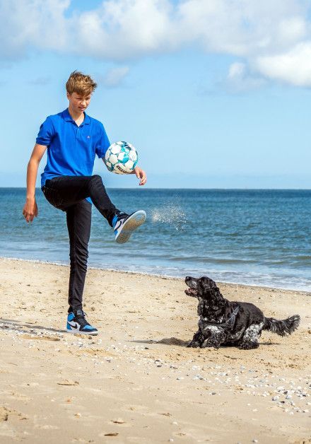 Last-minute aanbiedingen met hond op waddeneiland Texel - bron: Stefan Krofft