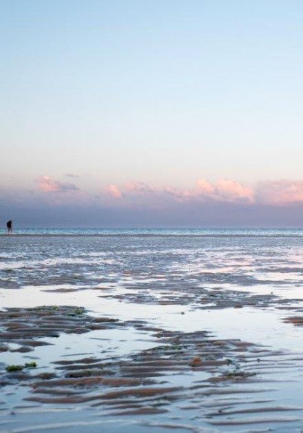 Ontdek het wad op waddeneiland Vlieland