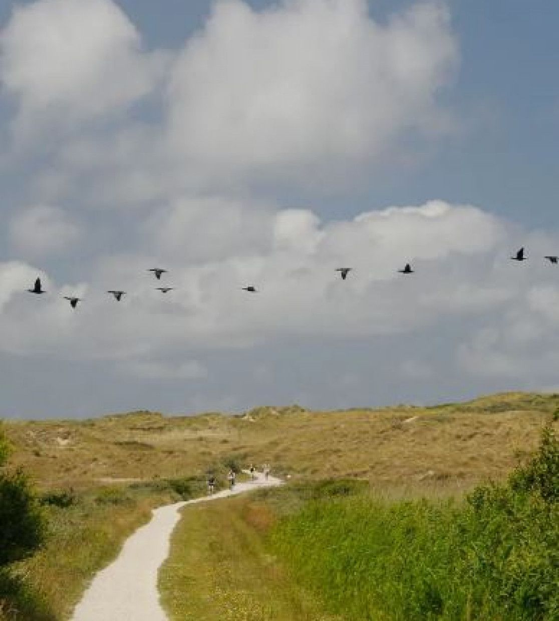 Arrangementen op Vlieland - VVV Vlieland - Wadden.nl