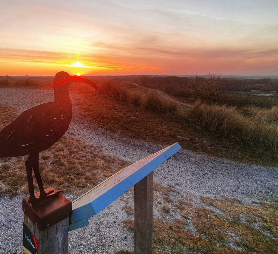 <p>Uitzichtpunten op Terschelling - Wadden.nl</p>