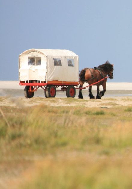 Zien & Doen Schiermonnikoog - Wadden.nl
