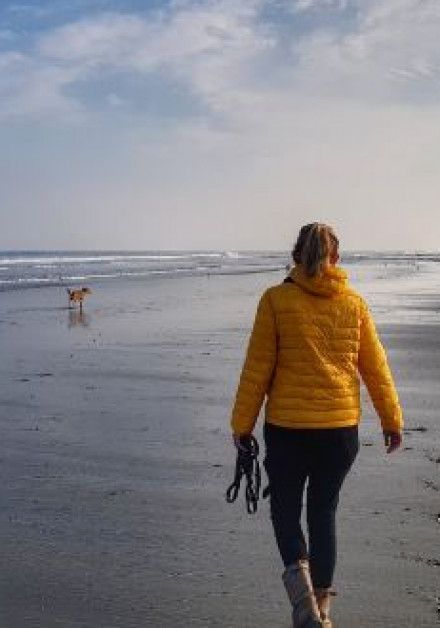 Arrangementen op Terschelling - VVV Terschelling - Wadden.nl