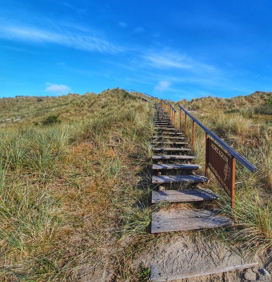 Uitzichtpunten op Terschelling - Wadden.nl