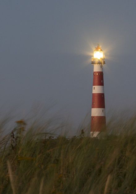 Arrangementen Ameland - Wadden.nl - VVV Ameland