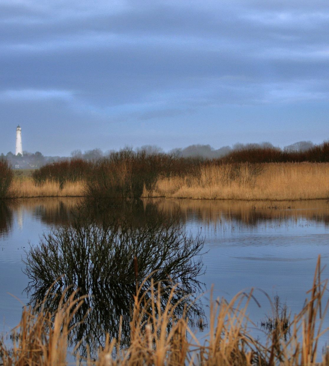 Nationaal Park Schiermonnikoog - VVV Schiermonnikoog - Wadden.nl