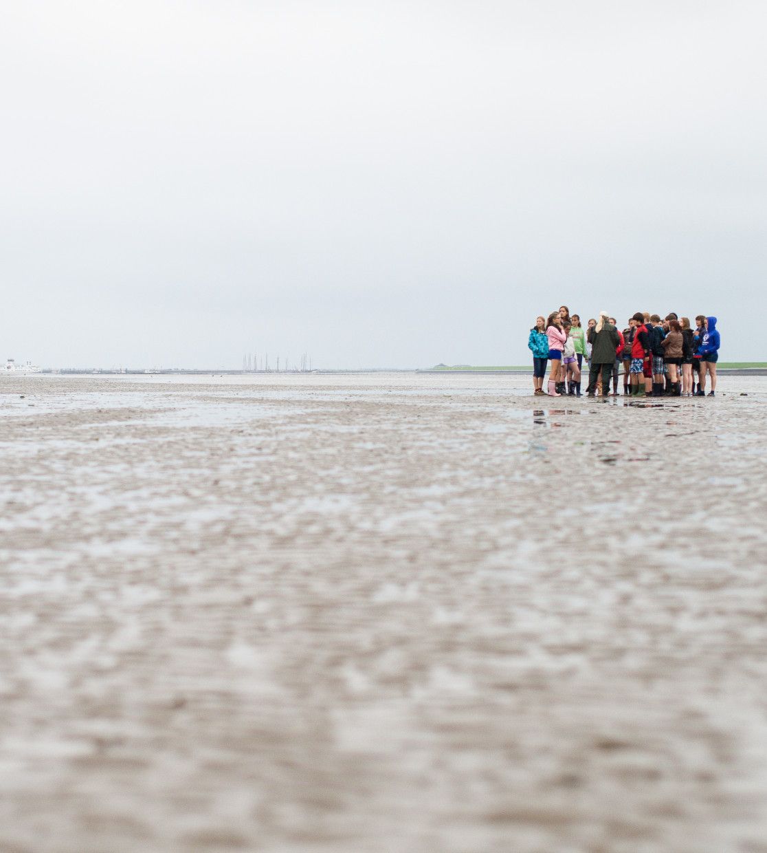 Zoveel te zien, doen en beleven - Wadden.nl