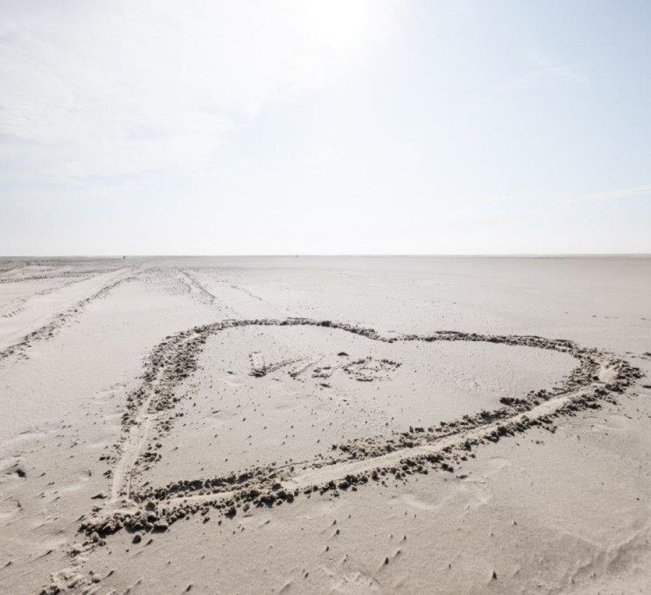<p>Ontdek wat wadeneiland Vlieland zo bijzonder maakt! - De Vliehors</p>