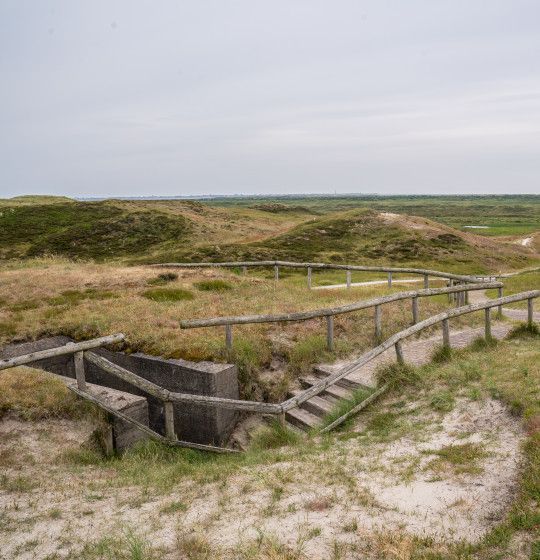 Uitzichtpunten op Texel - Wadden.nl