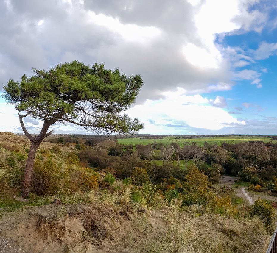 <p>Uitzichtpunten op Terschelling - Wadden.nl</p>