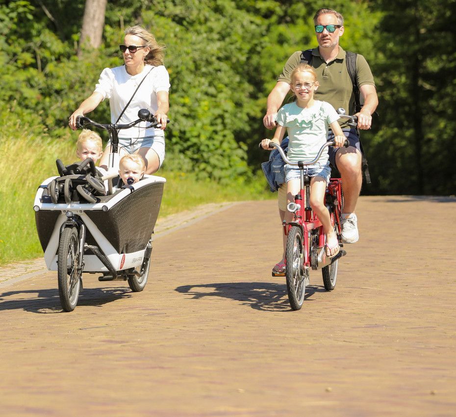 <p>Fietsen, fietsverhuur en fietsroutes op waddeneiland Vlieland - Wadden.nl</p>