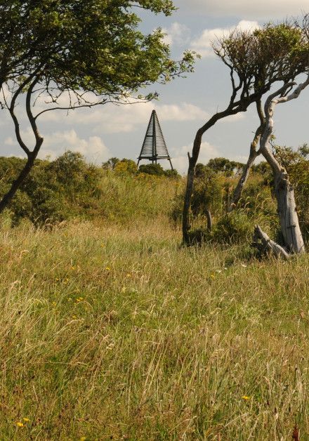 Arrangementen op Schiermonnikoog - VVV Schiermonnikoog - Wadden.nl