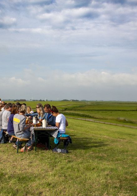 Vier de Dag van het Wad op waddeneiland Terschelling - Wadden.nl