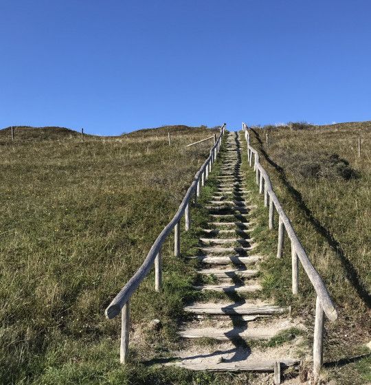 Uitzichtpunten op Texel - Wadden.nl