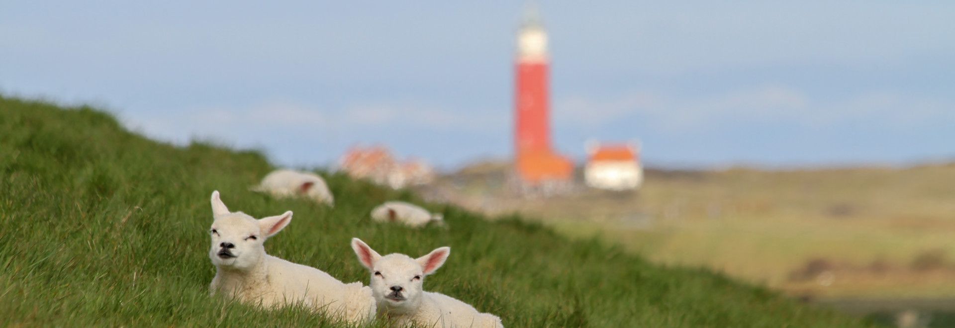 Uniek op Texel - VVV Texel - Wadden.nl