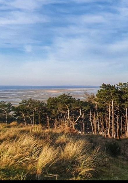 Terschelling, even echt helemaal weg - Wadden.nl