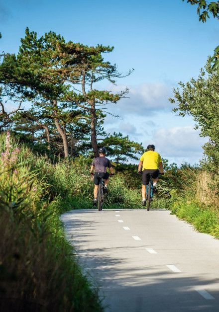 Fietsverhuurbedrijven - waddeneiland Texel