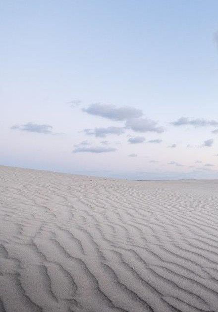 Webcam Noordzeestrand - Wadden.nl