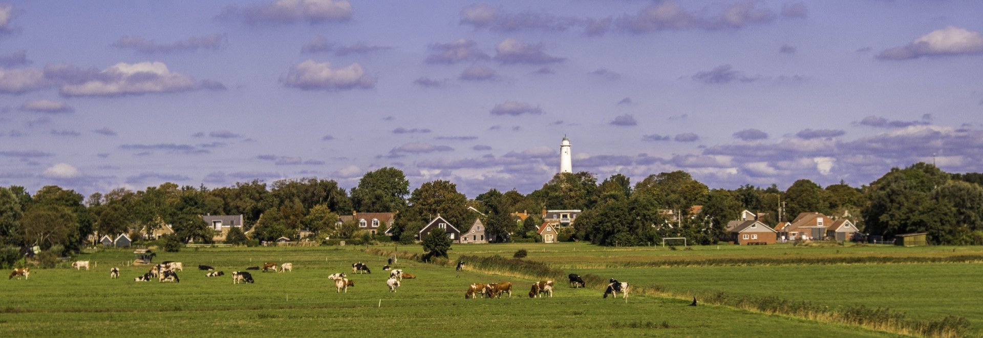 Uniek op Schiermonnikoog - VVV Schiermonnikoog - Wadden.nl