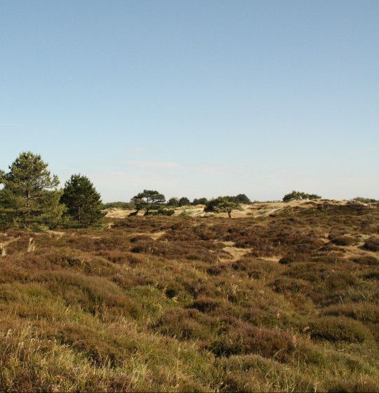 Uitzichtpunten op Vlieland - Wadden.nl
