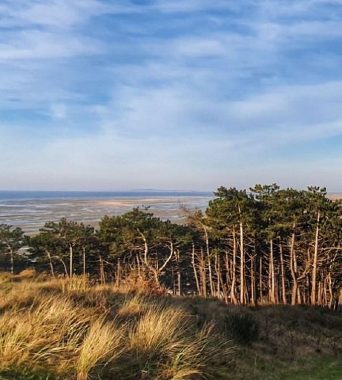 Uitzichtpunten op Terschelling - VVV Terschelling - Wadden.nl