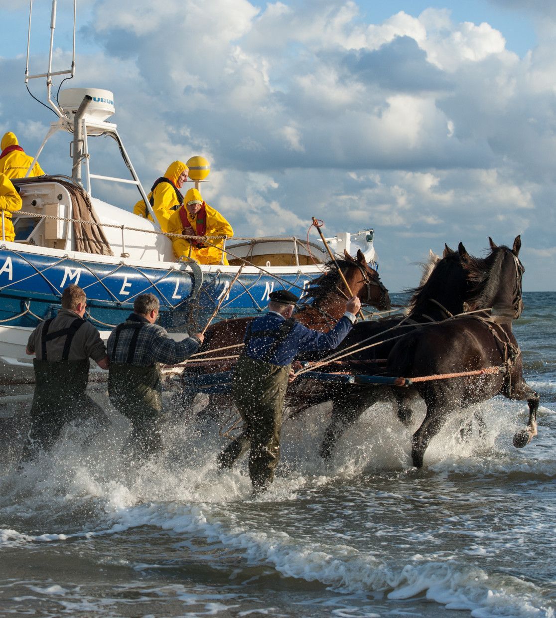 Beleef het mee - Wadden.nl - VVV Ameland
