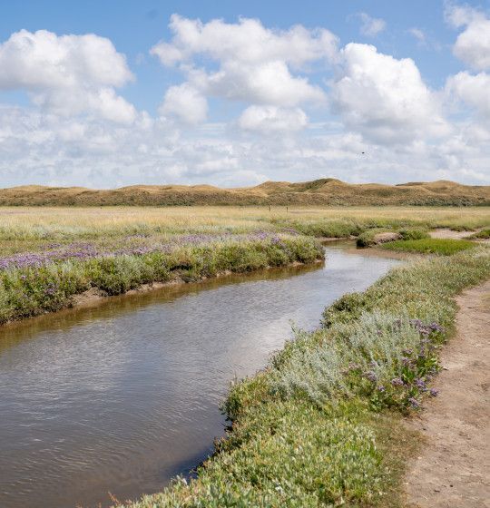 Uitzichtpunten op Texel - Wadden.nl
