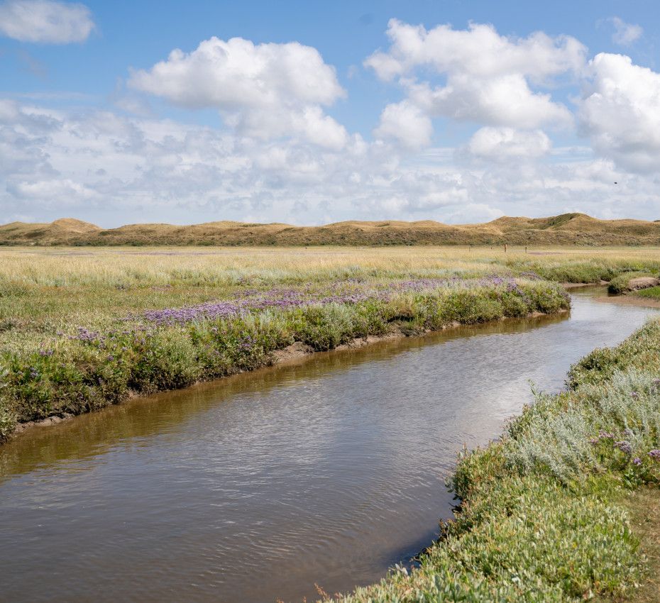 <p>Natuurexcursies op waddeneiland Texel</p>