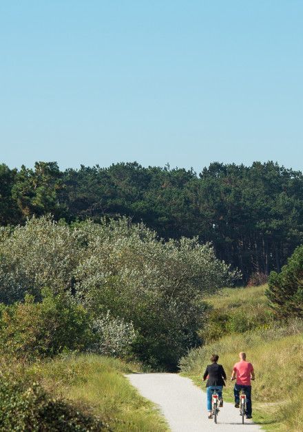 Arrangementen op Ameland - VVV Ameland - Wadden.nl