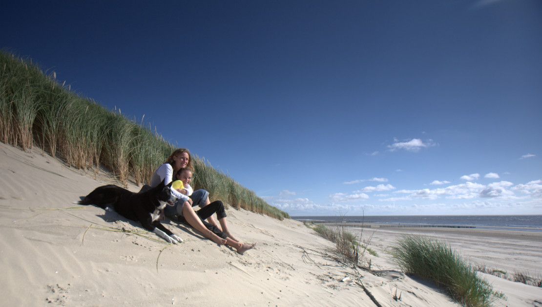 Webcam strand - Ameland - Wadden.nl