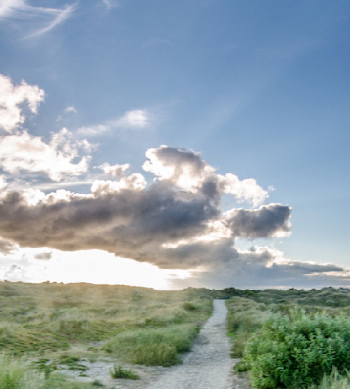 Nationaal Park Schiermonnikoog - VVV Schiermonnikoog - Wadden.nl