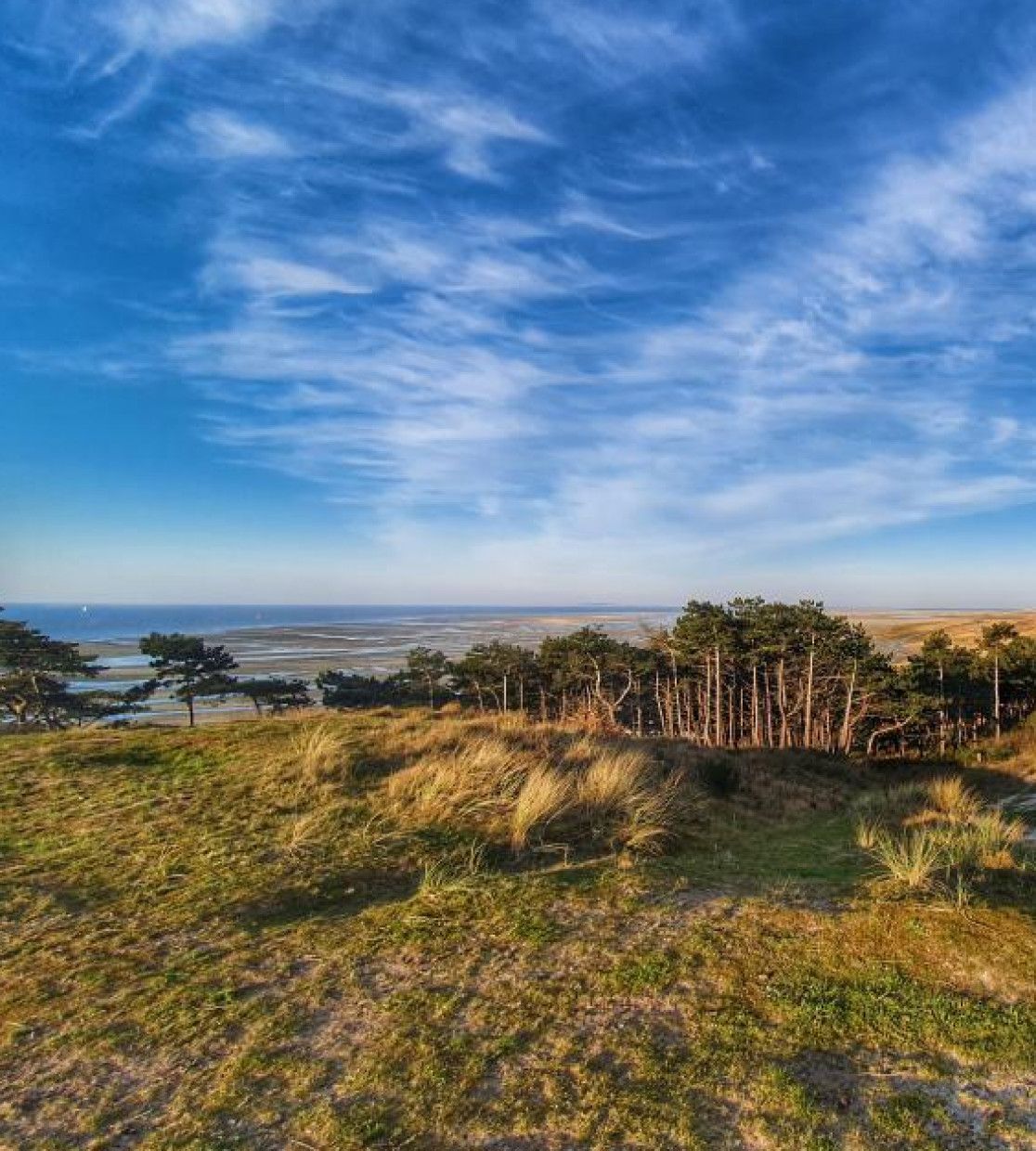 Overnachten op Terschelling - Terschelling - Wadden.nl