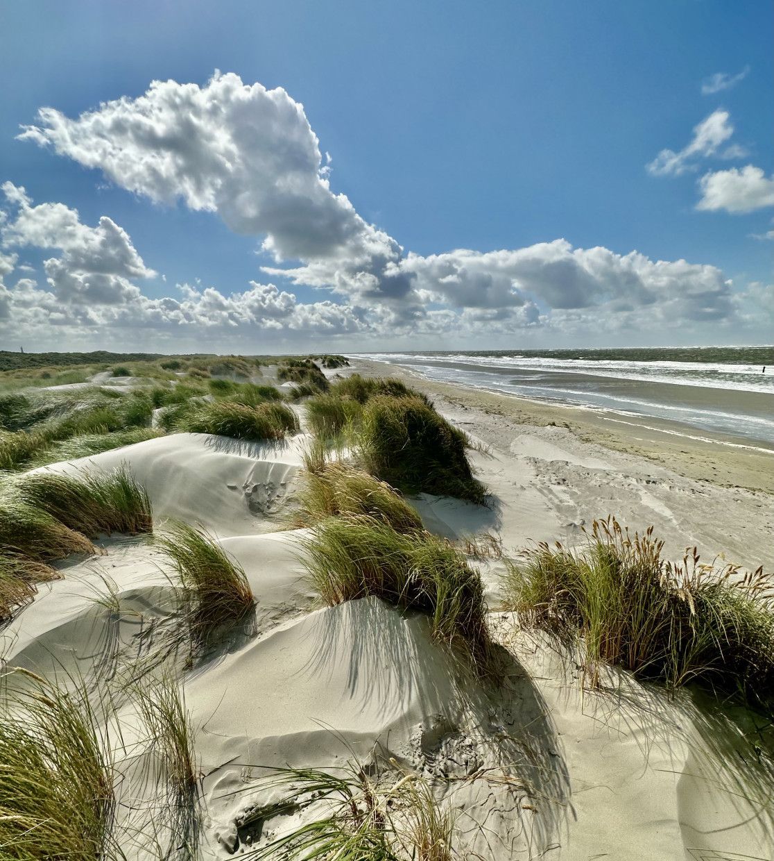 Nationaal Park Schiermonnikoog - VVV Schiermonnikoog - Wadden.nl