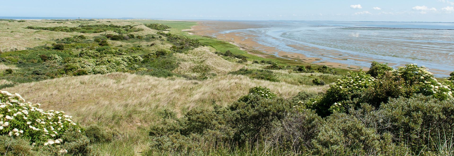 Ameland - VVV Ameland - Wadden.nl