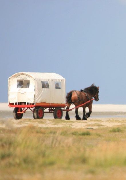 Zien & Doen Schiermonnikoog - Wadden.nl