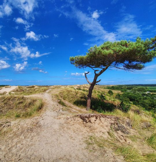 Uitzichtpunten op Terschelling - Wadden.nl