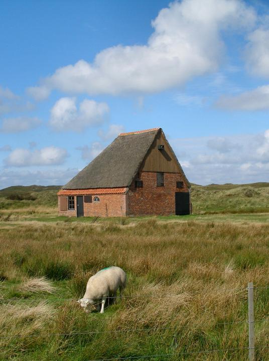 Overnachten op Texel - VVV Texel - Wadden.nl