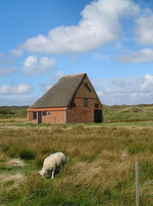 Übernachten auf Texel - VVV Texel - Wadden.nl
