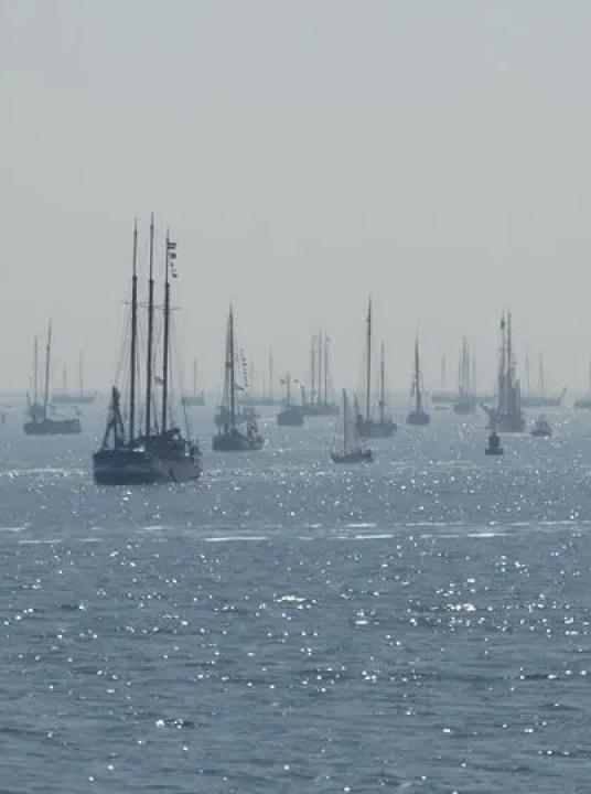 Sagitta zeilrace - VVV Terschelling - Wadden.nl